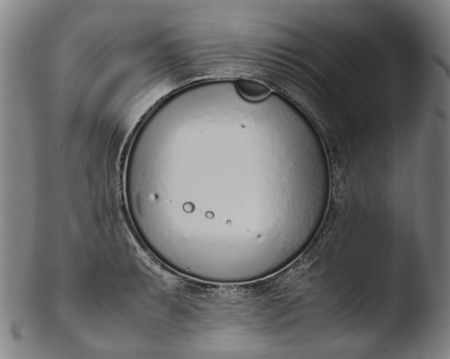 X0000103451087200809261811