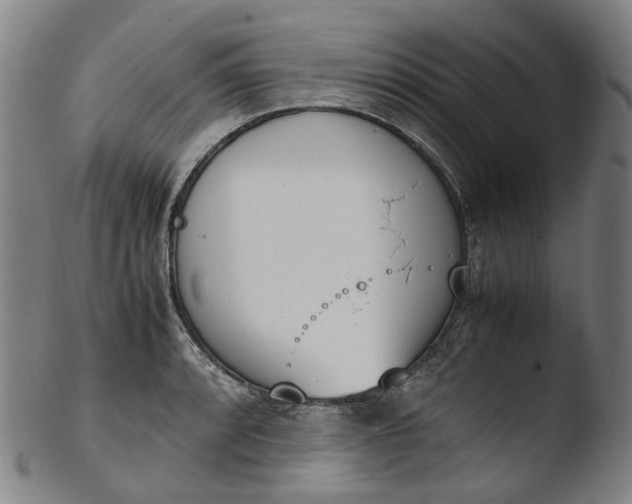 X0000103451088200809261811