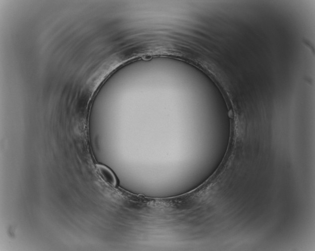 X0000103451089200809261811