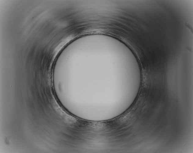 X0000103451090200809261811