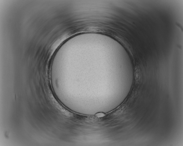 X0000103451091200809261811