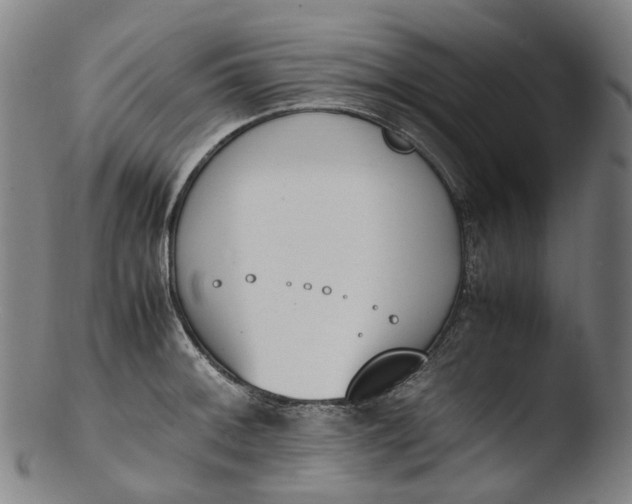 X0000103451092200809261811