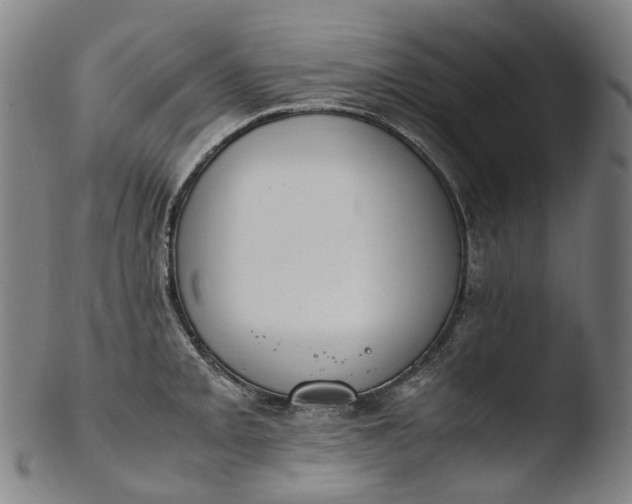 X0000103451093200809261811