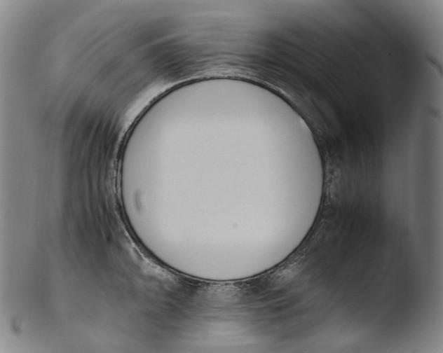 X0000103451094200809261811