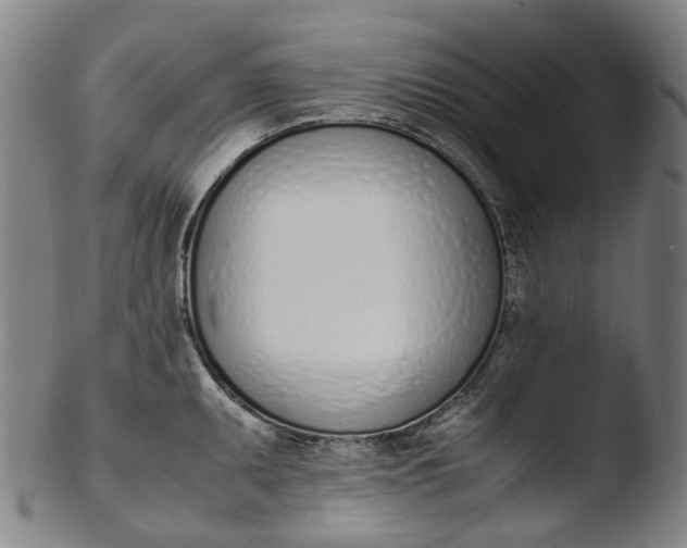 X0000103451095200809261811