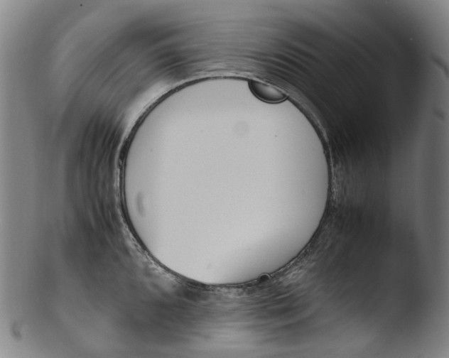 X0000103451096200809261811