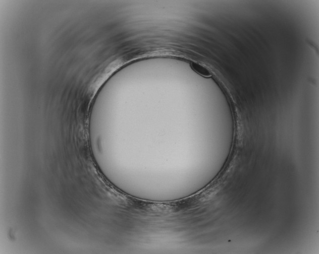 X0000103451097200809261811