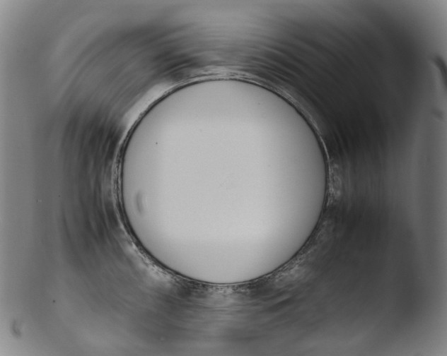 X0000103451098200809261811