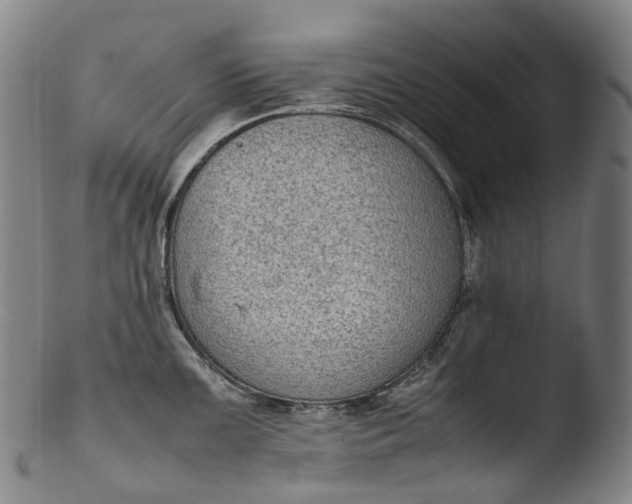 X0000103451099200809261811