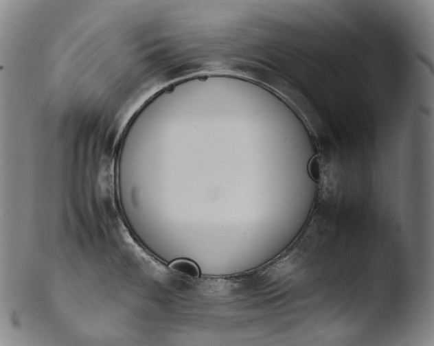 X0000103451100200809261811