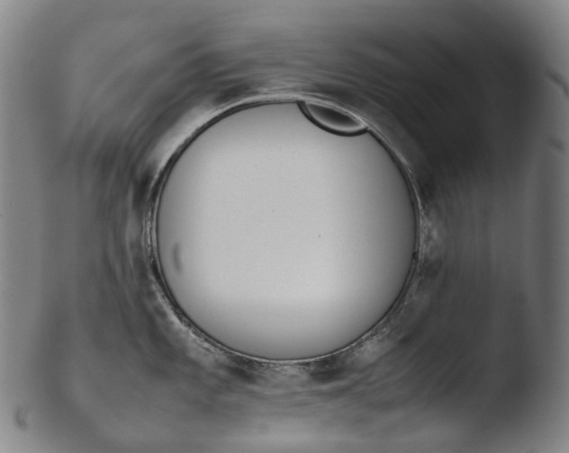 X0000103451101200809261811