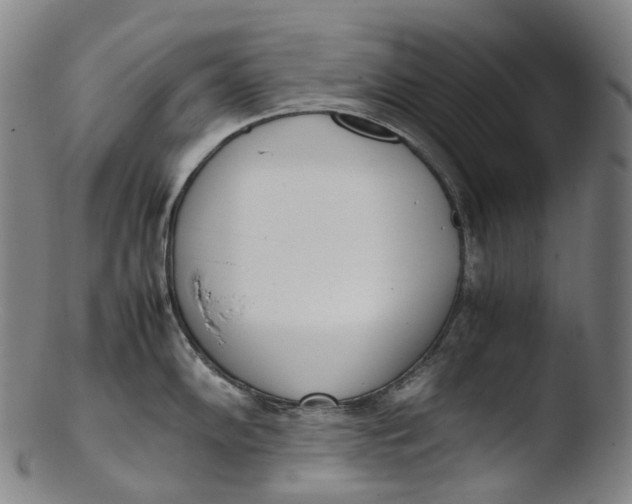 X0000103451102200809261811