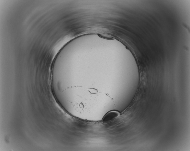 X0000103451103200809261811