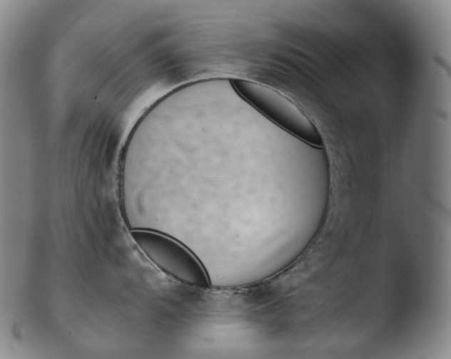 X0000103451104200809261811