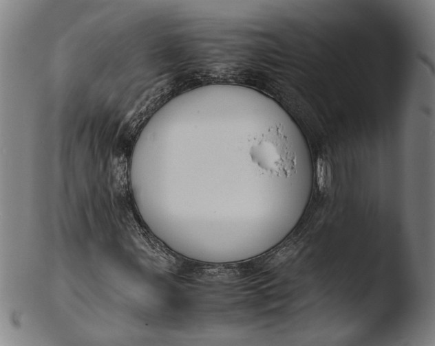 X0000103451107200809261810