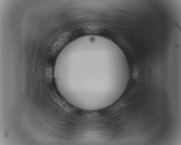 X0000103451108200809261810