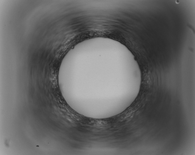 X0000103451109200809261810