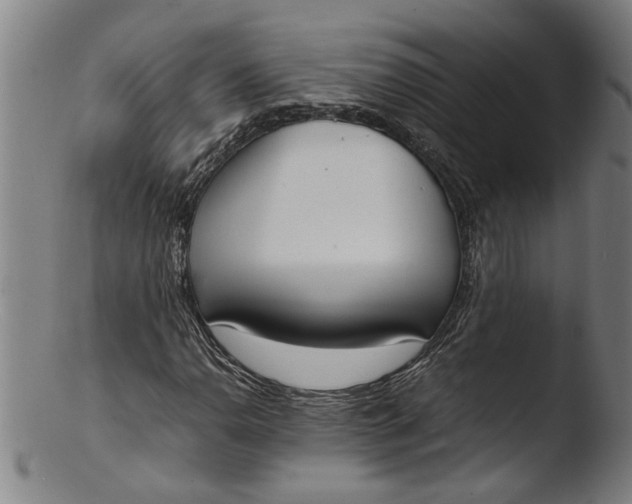 X0000103451110200809261810