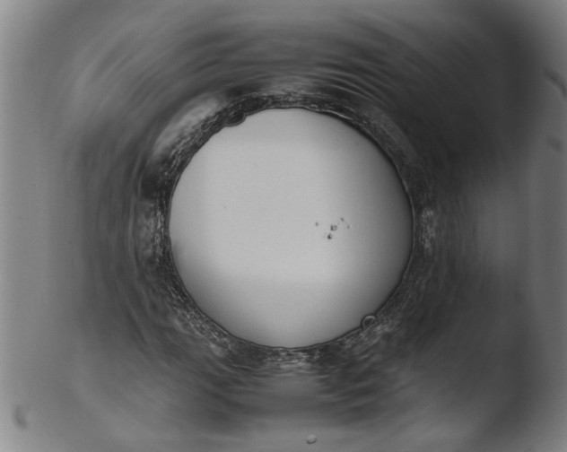 X0000103451111200809261810