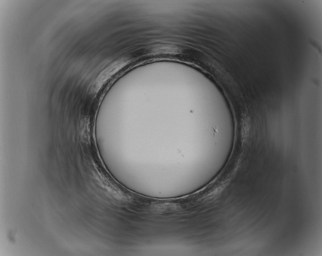 X0000103451113200809261810