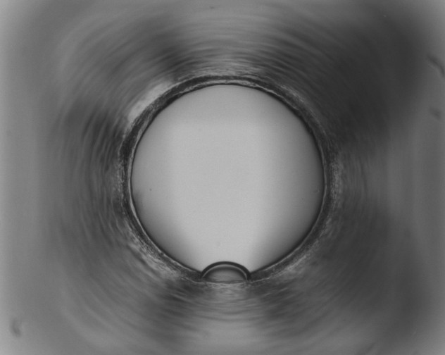 X0000103451114200809261810