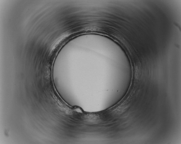 X0000103451115200809261810