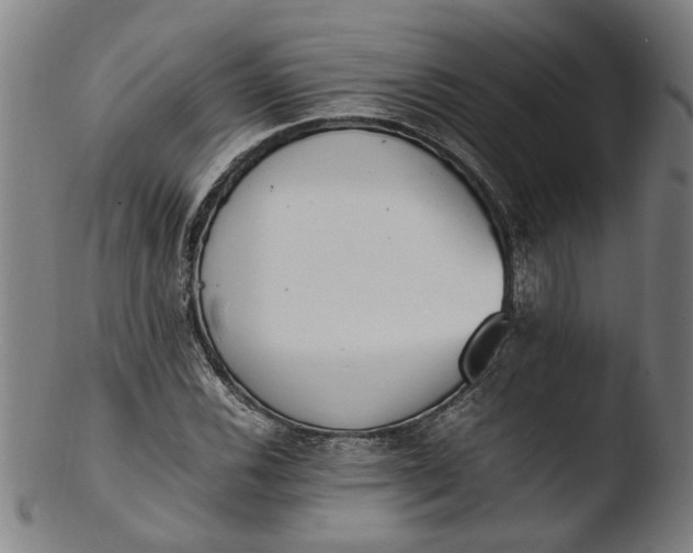 X0000103451116200809261810