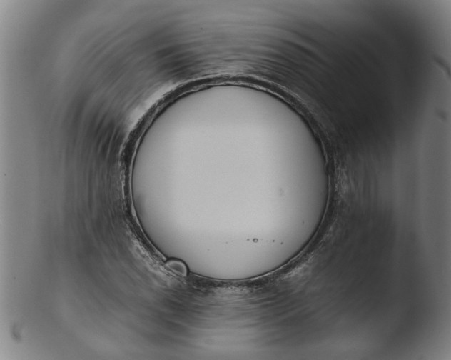 X0000103451118200809261810