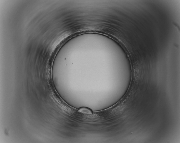 X0000103451119200809261810