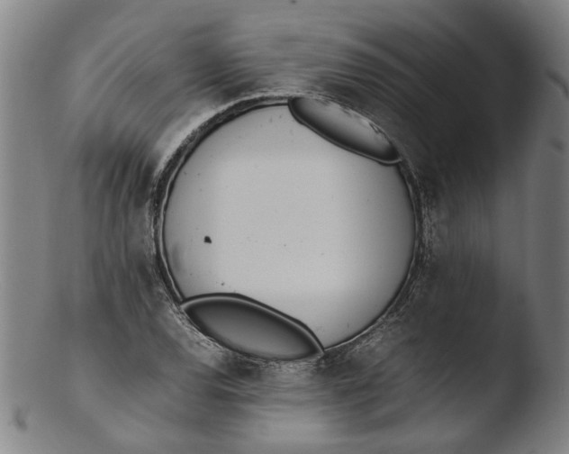 X0000103451120200809261810