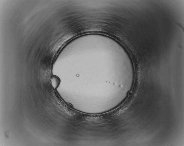 X0000103451121200809261810