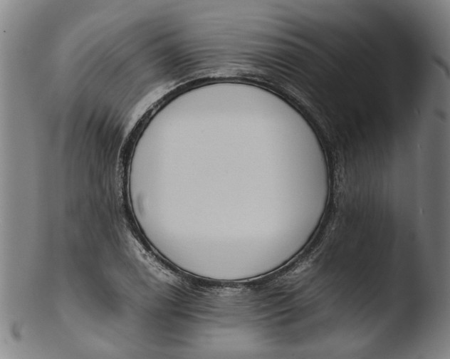 X0000103451122200809261810