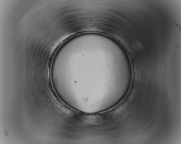 X0000103451125200809261810