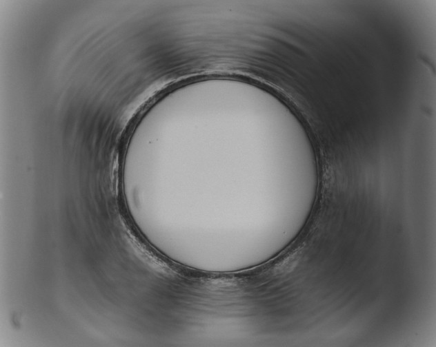 X0000103451126200809261810