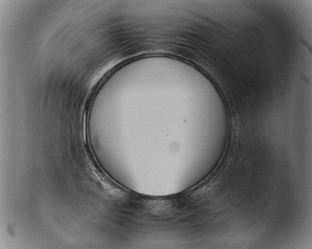 X0000103451127200809261810