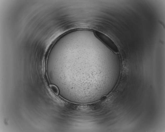 X0000103451128200809261811