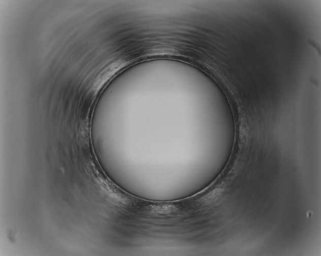 X0000103451129200809261811