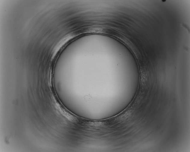 X0000103451131200809261811