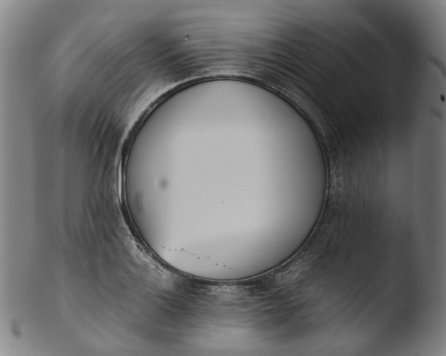 X0000103451132200809261811