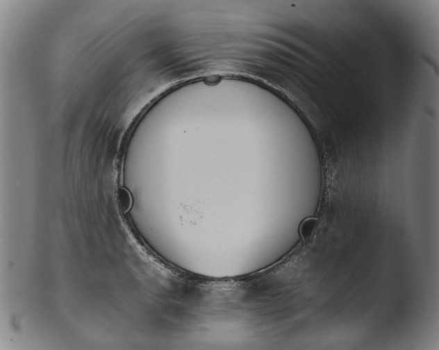 X0000103451134200809261811