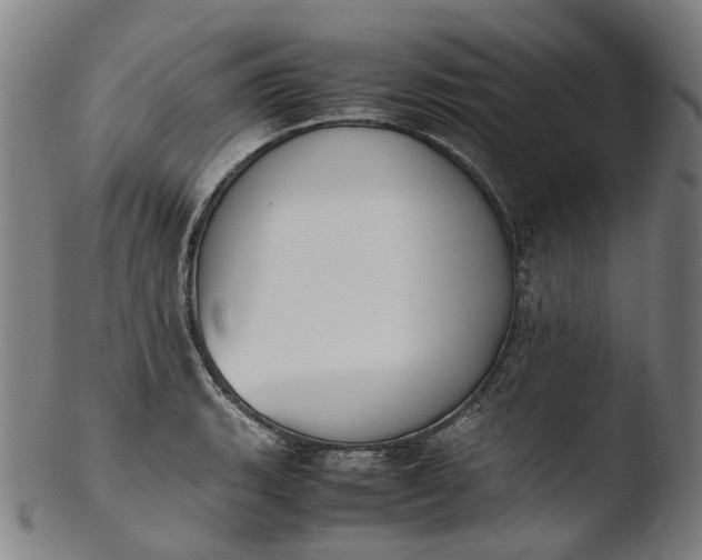 X0000103451135200809261811