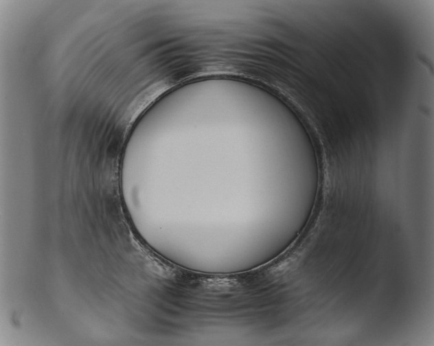 X0000103451137200809261811