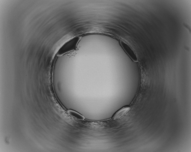 X0000103451138200809261811