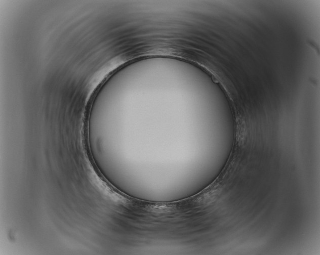 X0000103451139200809261811