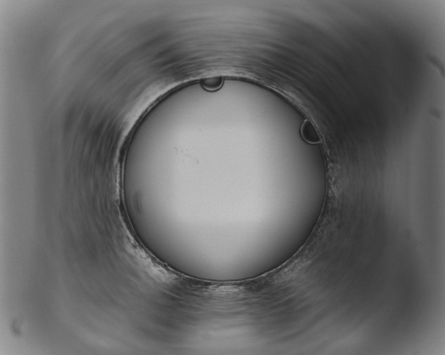 X0000103451140200809261811