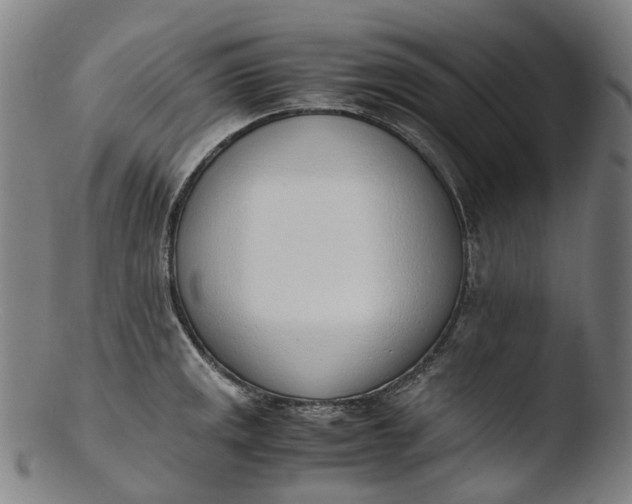 X0000103451141200809261811