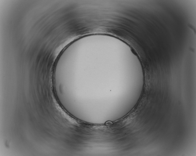 X0000103451142200809261811