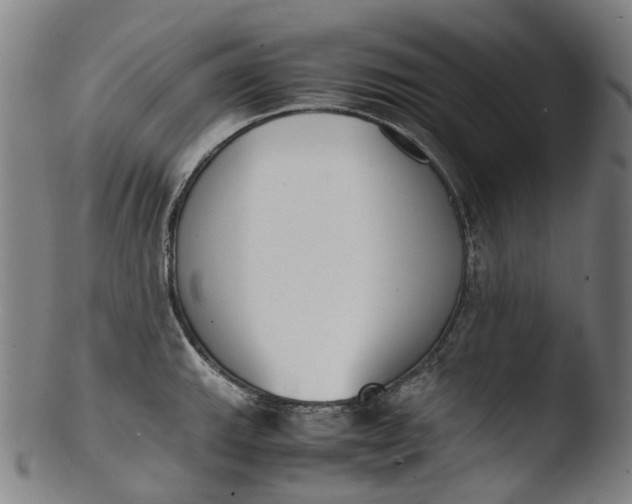 X0000103451143200809261811