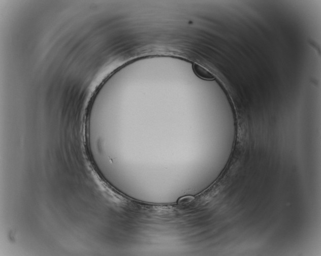 X0000103451144200809261811