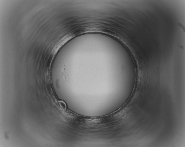 X0000103451145200809261811